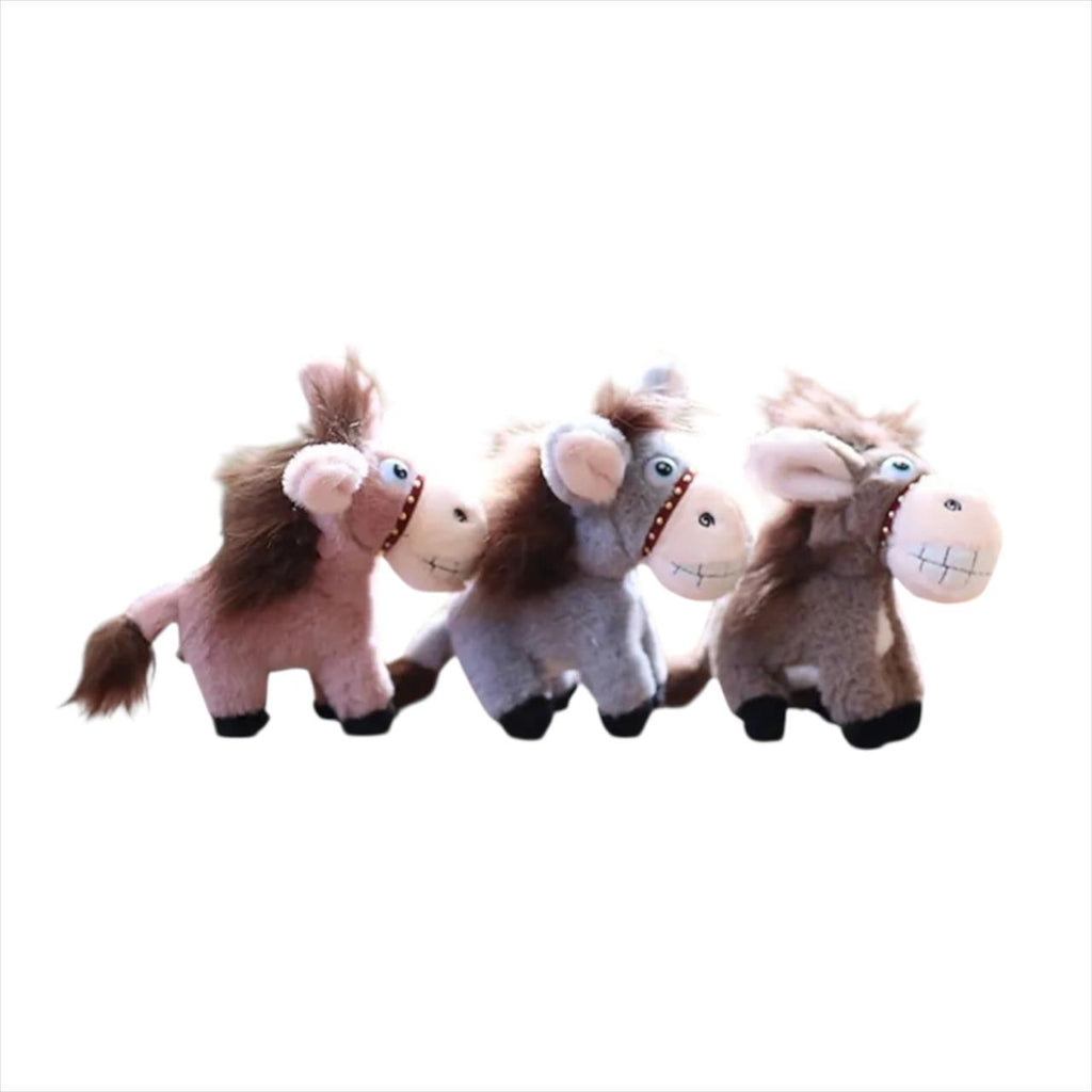 LLAVEROS DE BURRO